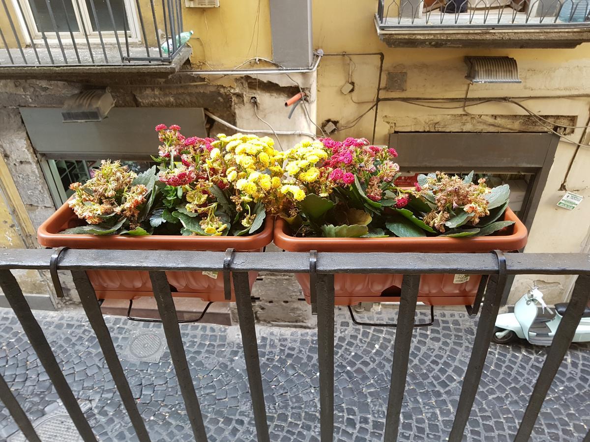 Casa Di Napoli Villa Bagian luar foto